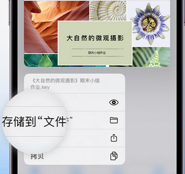 胶州apple维修中心分享iPhone文件应用中存储和找到下载文件