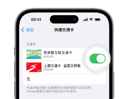 胶州apple维修点分享iPhone上更换Apple Pay快捷交通卡手绘卡面 