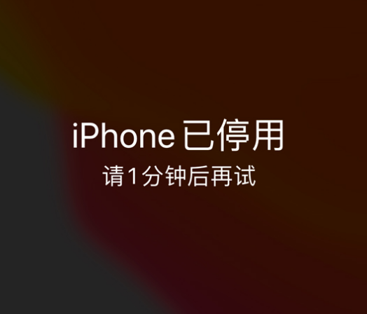 胶州苹果手机维修分享:iPhone 显示“不可用”或“已停用”怎么办？还能保留数据吗？ 