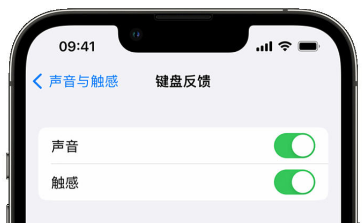 胶州苹果手机维修分享iPhone 14触感键盘使用方法 