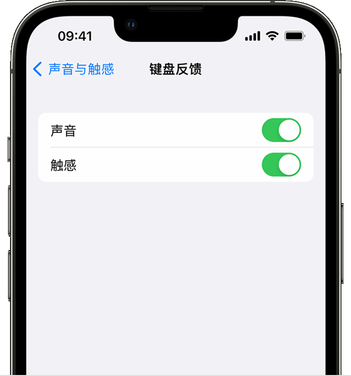 胶州苹果14维修店分享如何在 iPhone 14 机型中使用触感键盘 