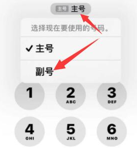 胶州苹果14维修店分享iPhone 14 Pro Max使用副卡打电话的方法 