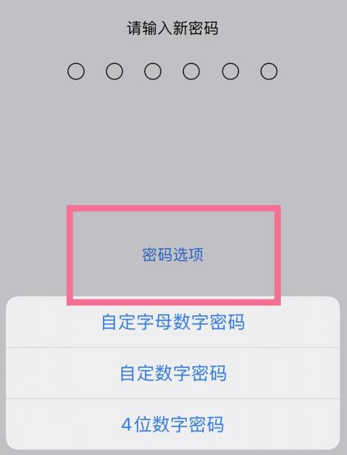 胶州苹果14维修分享iPhone 14plus设置密码的方法 