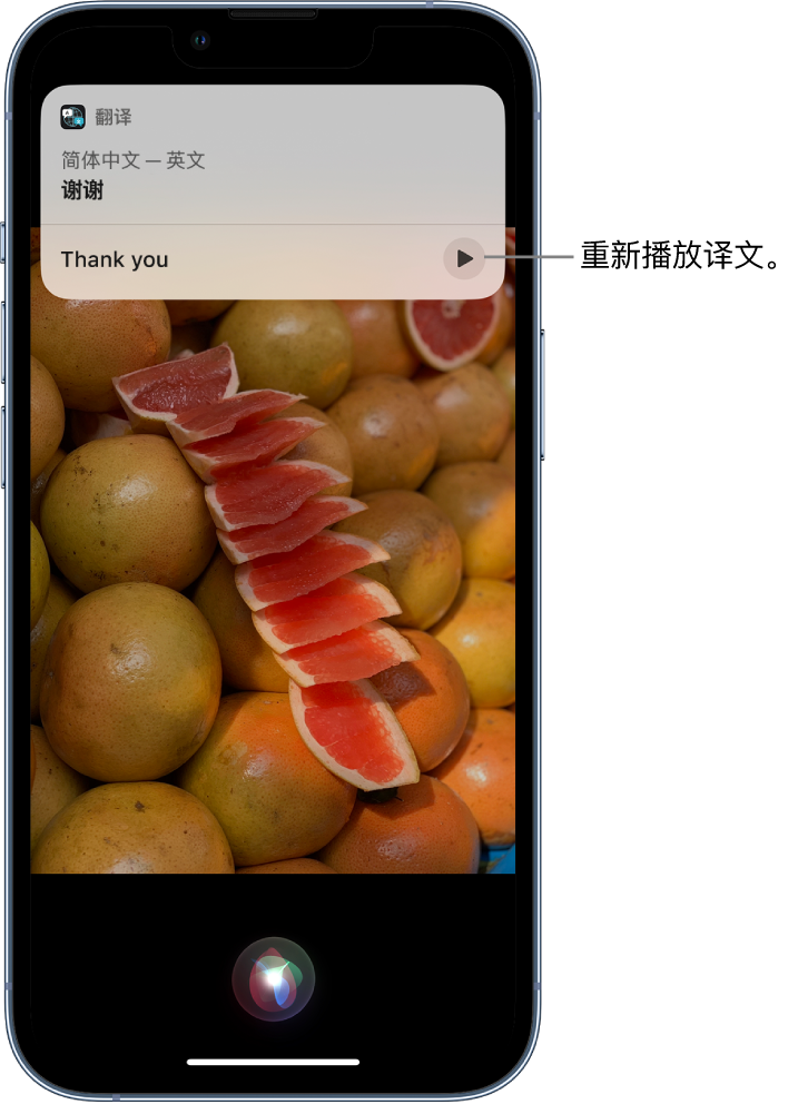 胶州苹果14维修分享 iPhone 14 机型中使用 Siri：了解 Siri 能帮你做什么 