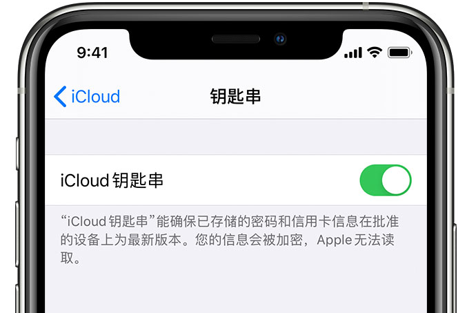 胶州苹果手机维修分享在 iPhone 上开启 iCloud 钥匙串之后会储存哪些信息 