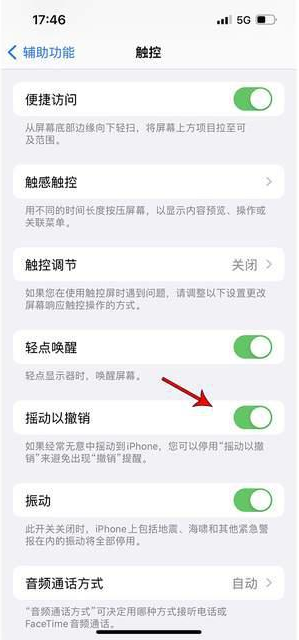 胶州苹果手机维修分享iPhone手机如何设置摇一摇删除文字 